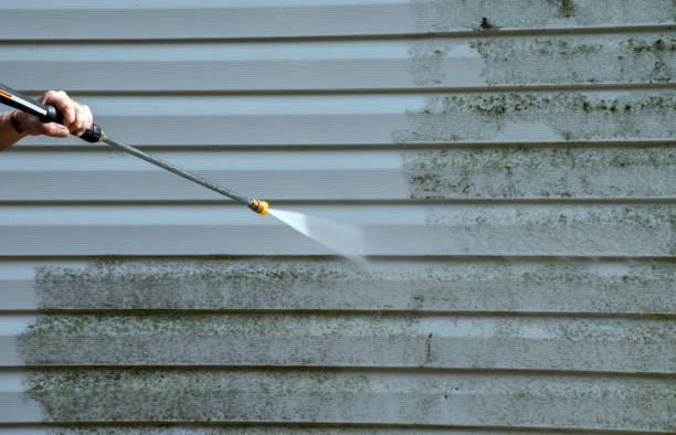 Best Driveway Pressure Washing  in Ivanhoe, TX
